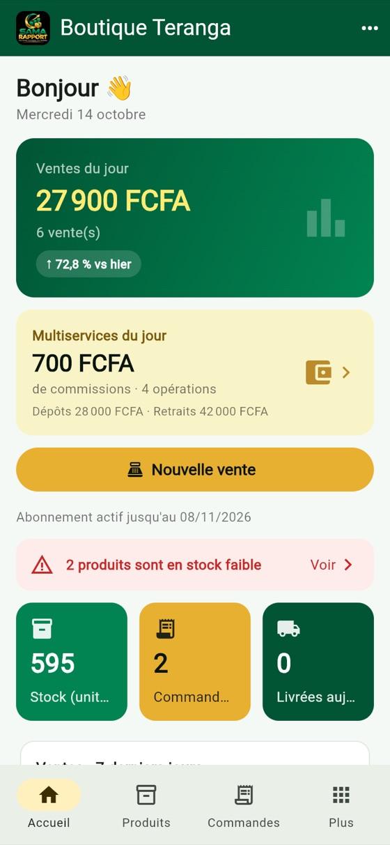 Écran d'accueil de l'application : ventes du jour, multiservices, stock faible